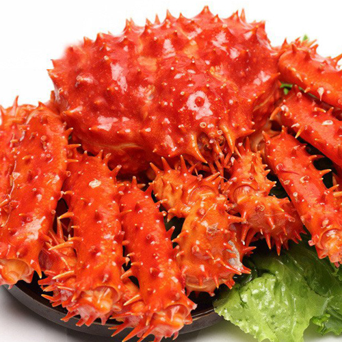 帝王蟹2.8-3.2斤 海鮮大螃蟹凍鮮水產