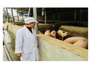 肉聯廠基地